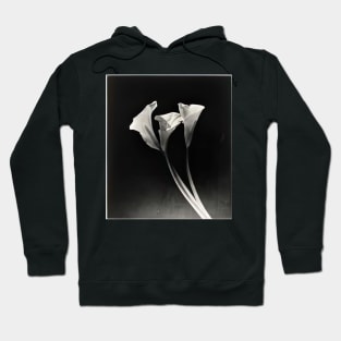 arums 1934 - Dora Maar Hoodie